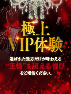 VIPコース  ～2Pair(二輪車)  70min/ 90min / 120min 150min/180min  通常料金X2